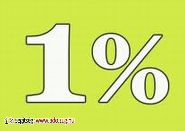 Elindult a verseny az adó 1%-okért - Mely szervezetek kapták 2025-ben a legtöbb felajánlást?